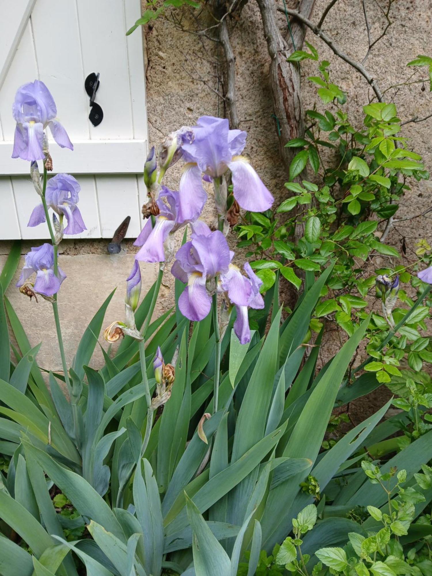 Couloutre Maison Frankrijk מראה חיצוני תמונה